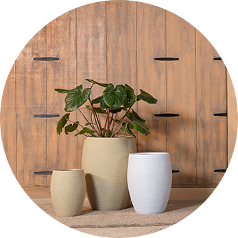 Rectangular Clusters